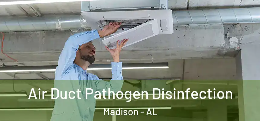  Air Duct Pathogen Disinfection Madison - AL