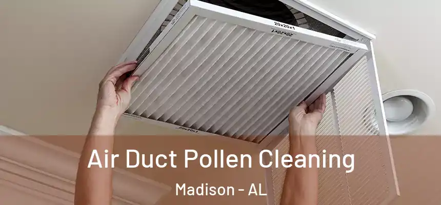  Air Duct Pollen Cleaning Madison - AL