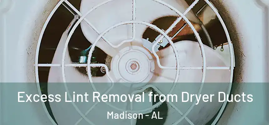  Excess Lint Removal from Dryer Ducts Madison - AL