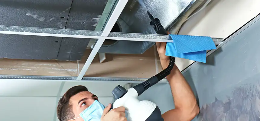 Our Air Duct Rodent Removal Services in Madison, AL