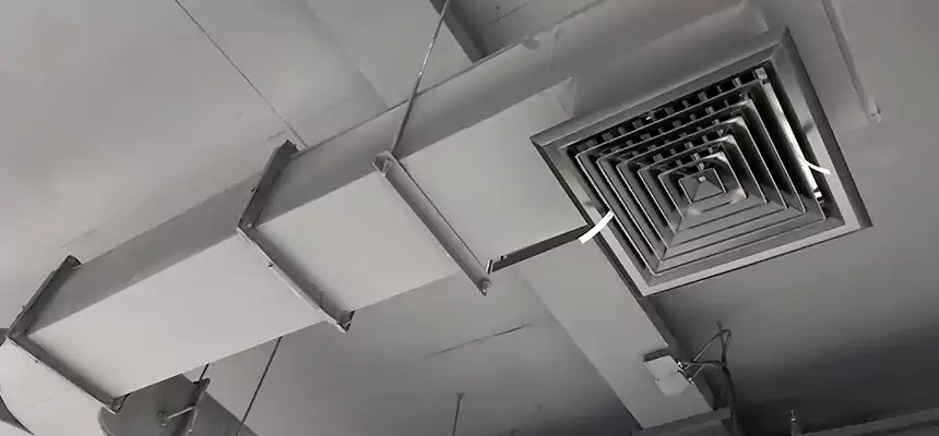 Restorative Allergy Relief Vent Cleaning – Coil, Blower & Housing Detail in Madison