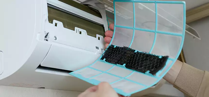 Gentle Ductwork Odor-Control Pet Dander Duct Cleaning in Madison, AL