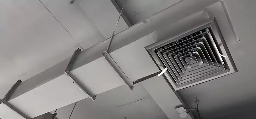 Our Rodent Droppings In Vents Services in Madison, AL