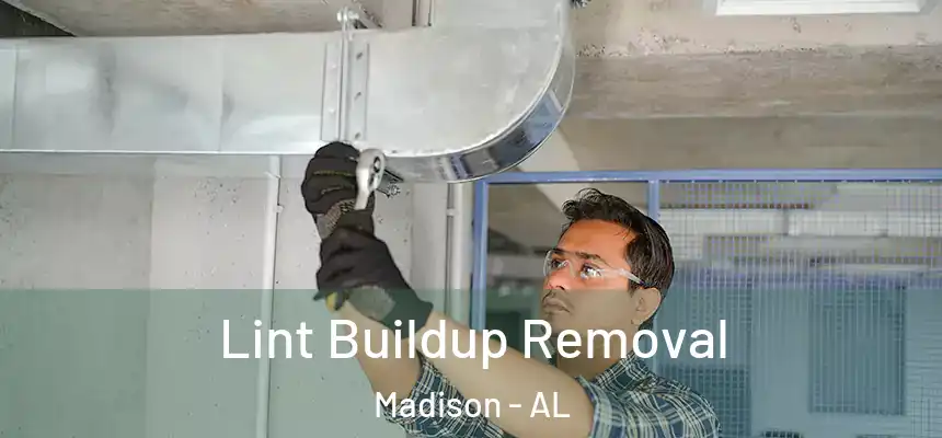 Lint Buildup Removal Madison - AL