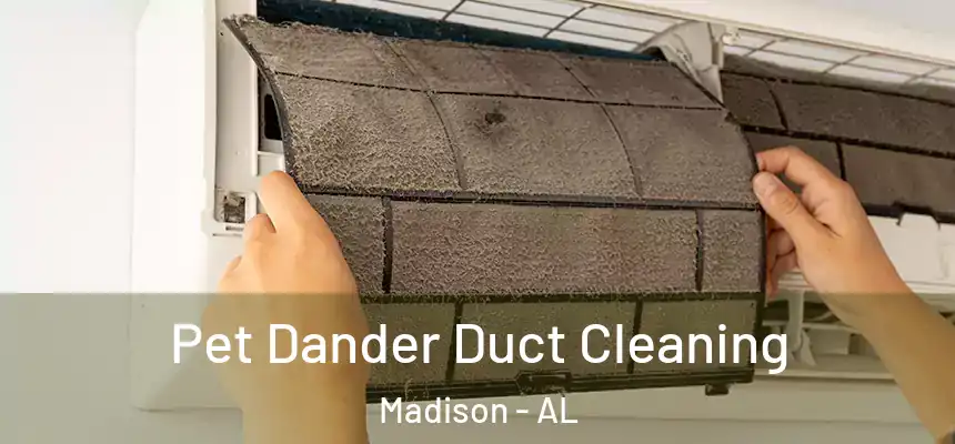  Pet Dander Duct Cleaning Madison - AL