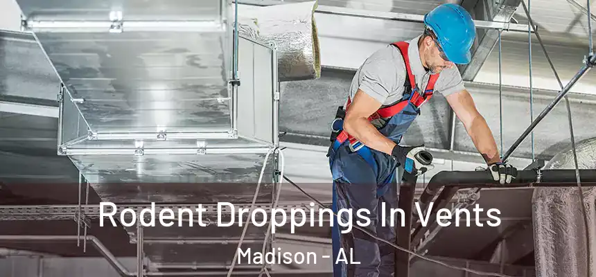  Rodent Droppings In Vents Madison - AL