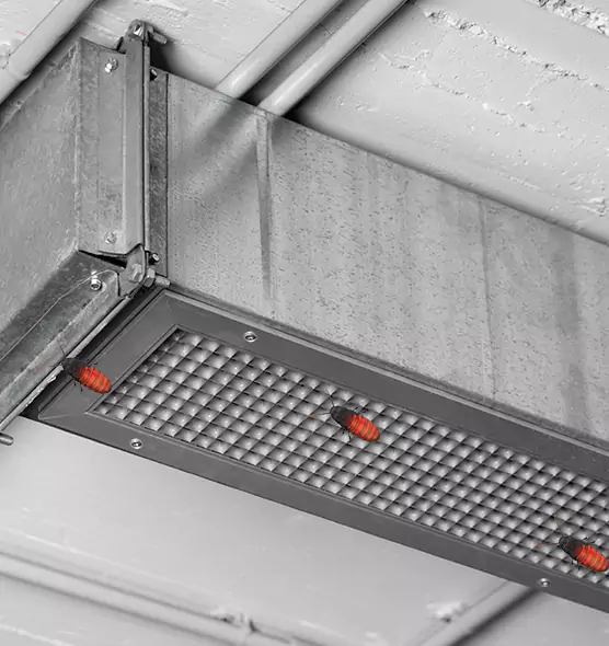 Affordable Insect Removal from Air Ducts in Madison, AL