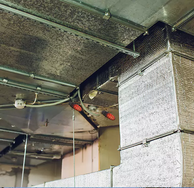 Why Homeowners & Businesses Trust Us Madison, AL?