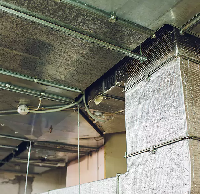 Why Homeowners & Businesses Trust Us in Madison, AL?