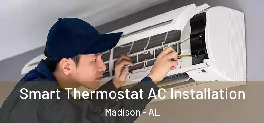  Smart Thermostat AC Installation Madison - AL